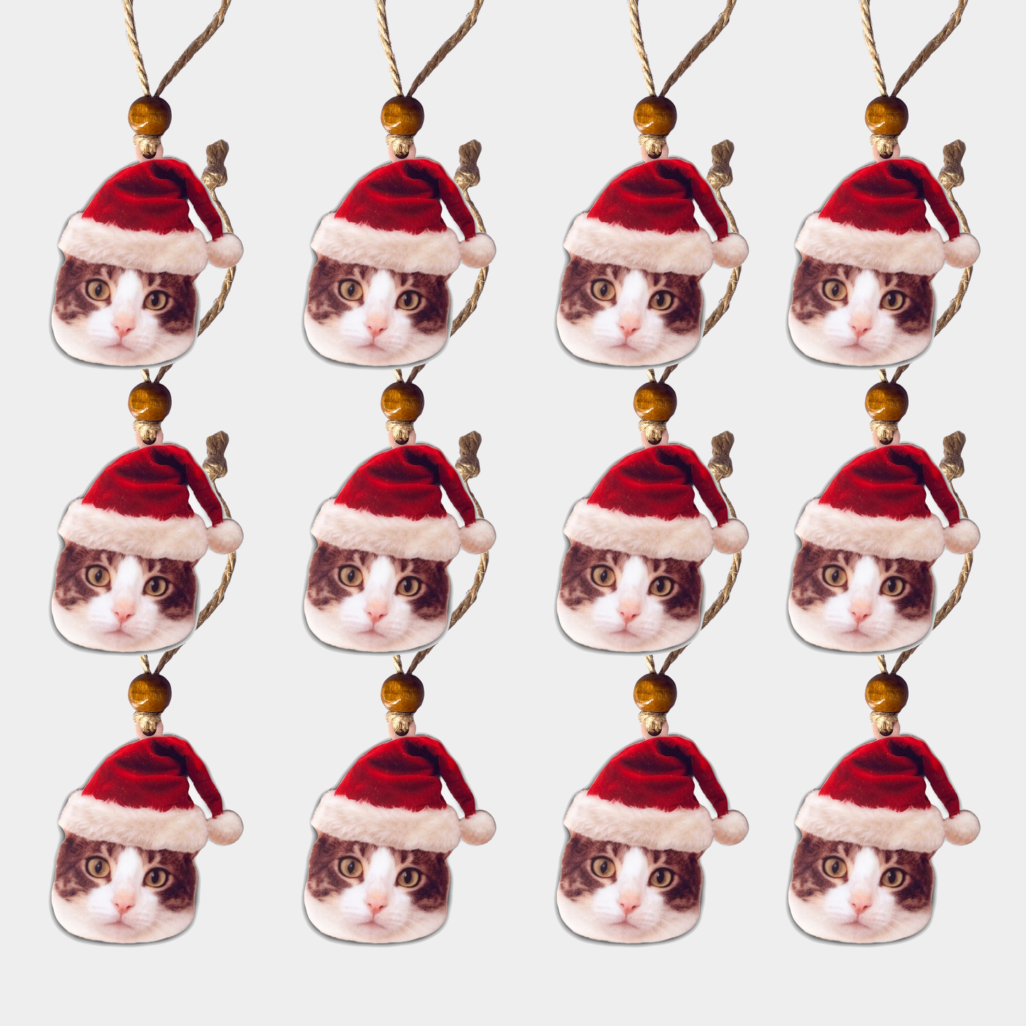 Acrylic Christmas Ornament: Santa Hat Cat