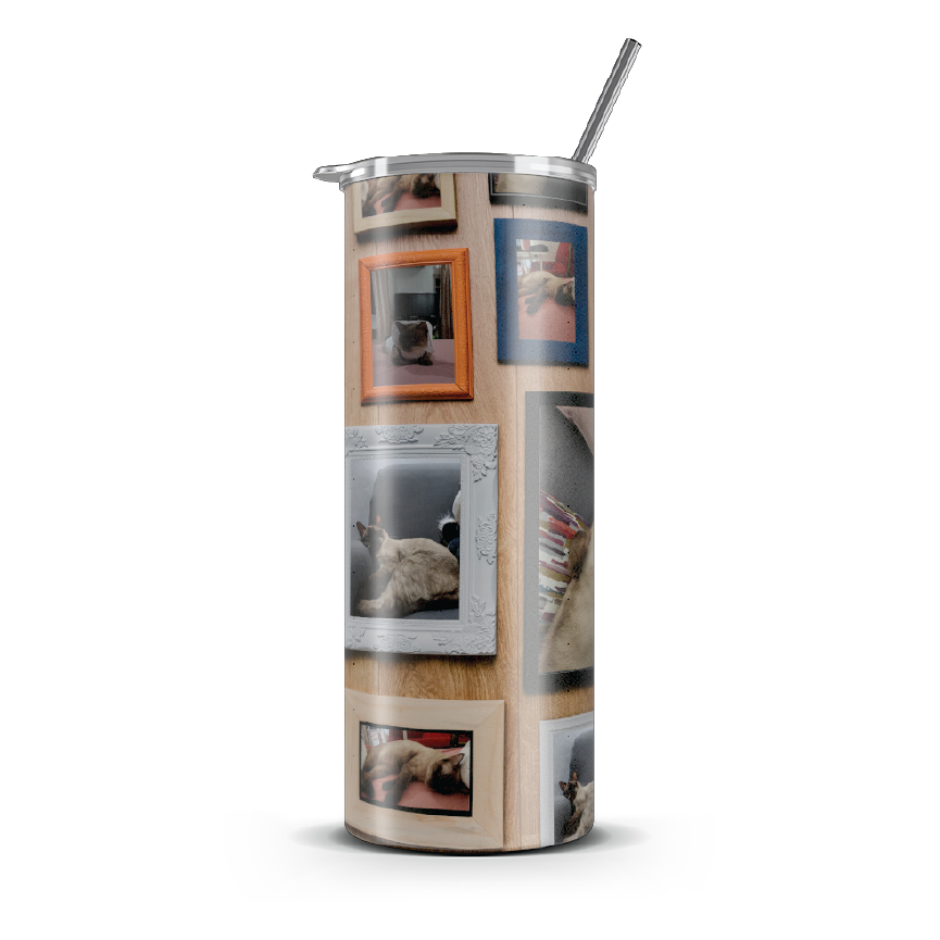 20oz. Slim Tumbler: Meow Gallery