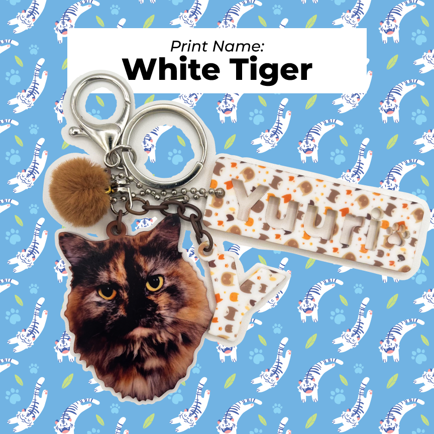 Acrylic Pet Bag Charm: Cat Pompom Set