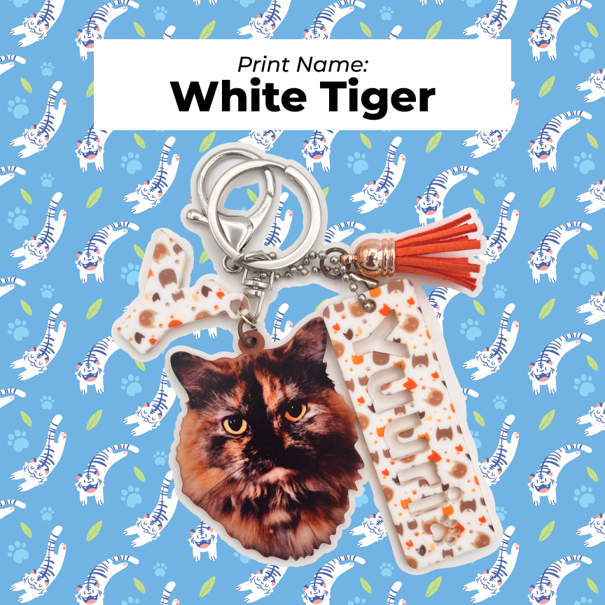 Acrylic Pet Bag Charm: Cat Tassel Set