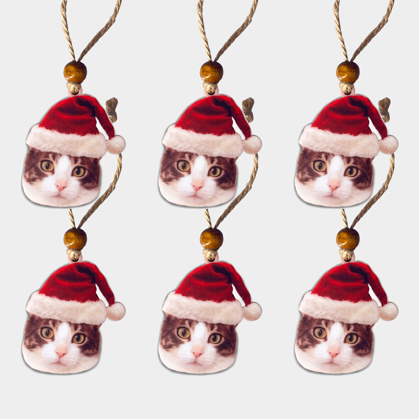 Acrylic Christmas Ornament: Santa Hat Cat