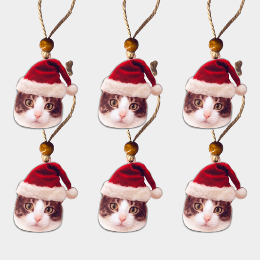 Acrylic Christmas Ornament: Santa Hat Cat